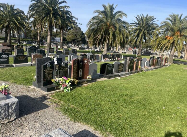 Williamstown-6-scaled-e1738026780582