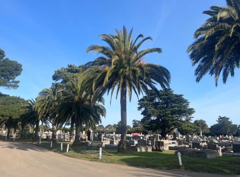 Headstones, Williamstown Cemetery